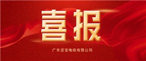喜报▏热烈祝贺广东91视频网站观看电缆有限公司获得燃烧等级证书